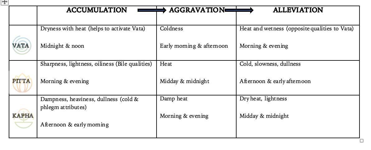 ayurvedic disease process