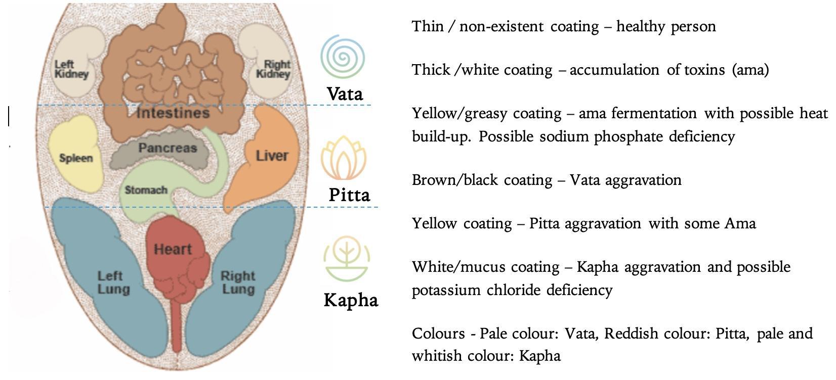 marma diagnosis tongue